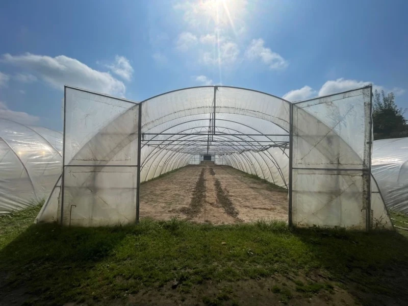 Sprzedam tunel foliowy 30m x 7,6m x 3m