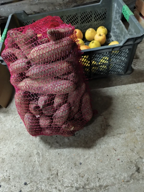 Smaczne jabłka i warzywa