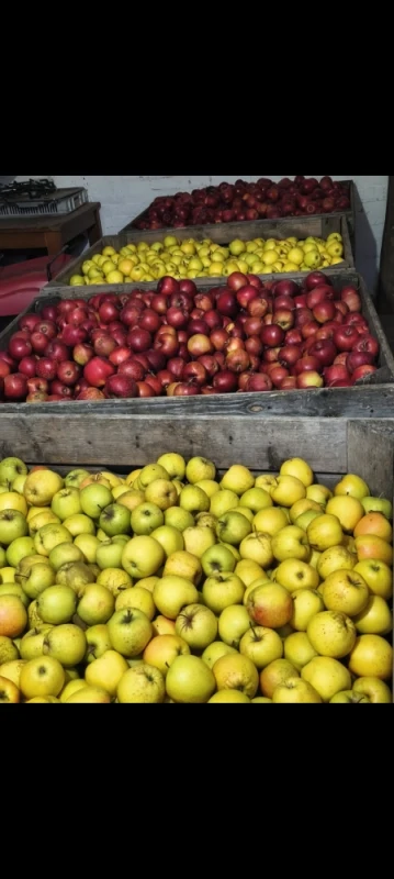 Smaczne jabłka i warzywa