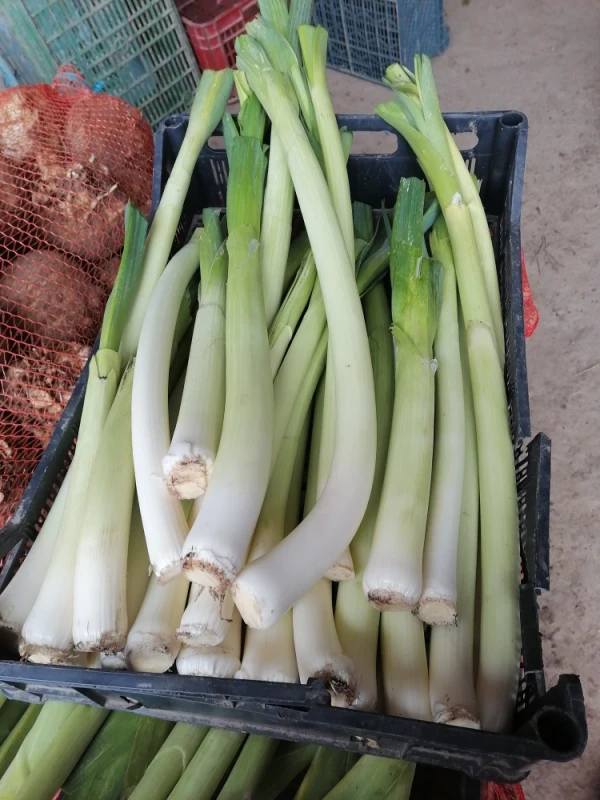 Pory Możliwość wysyłki