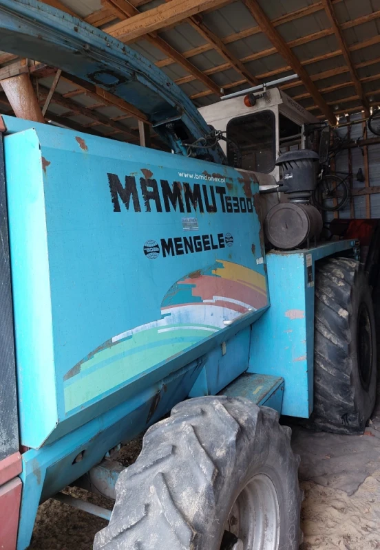 Sieczkarnia do kukurydzy Mengele Mammut  heder  1996  bardzo dobry stan  likwidacja gospodarstwa