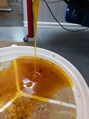 Miód spadziowo-nektarowy