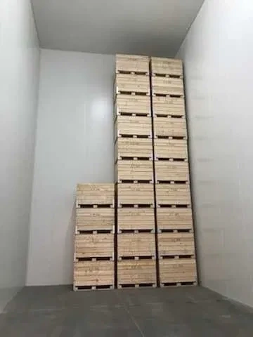 Skrzyniopalety drewniane na jabłka, PW MORYS