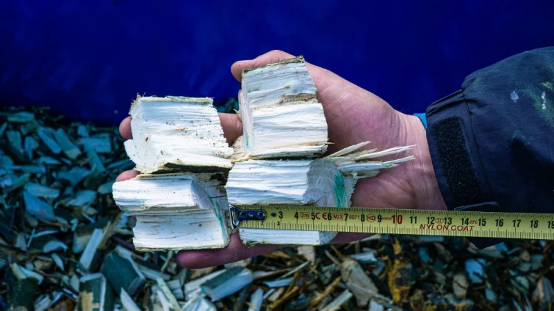 Ślimakowa kruszarka, ciągnikowy rębak gałęzi montowany i napędzany TUZ-WOM