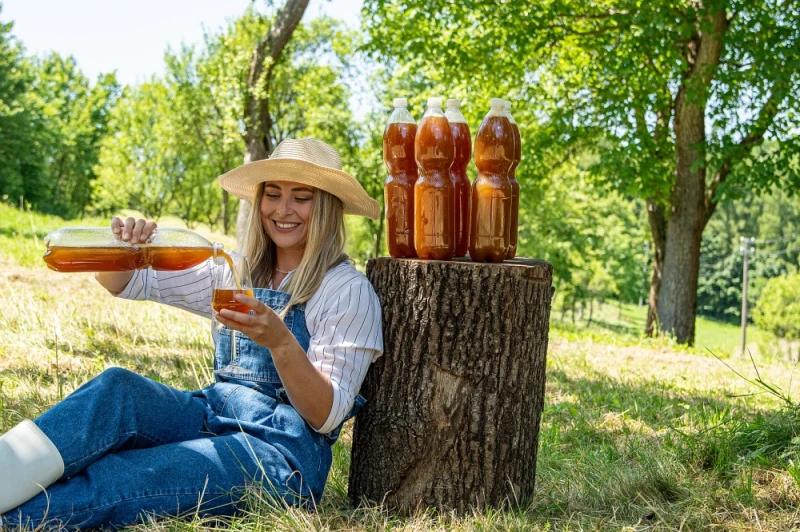 Rozdrabniacz i prasa do owoców i warzyw. Maszyna do soków