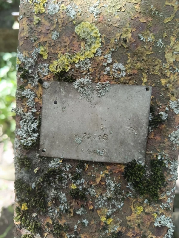 sadzarkę do ziemniaków