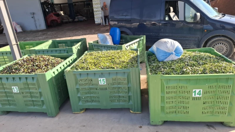 Oliwa z oliwek extra virgin