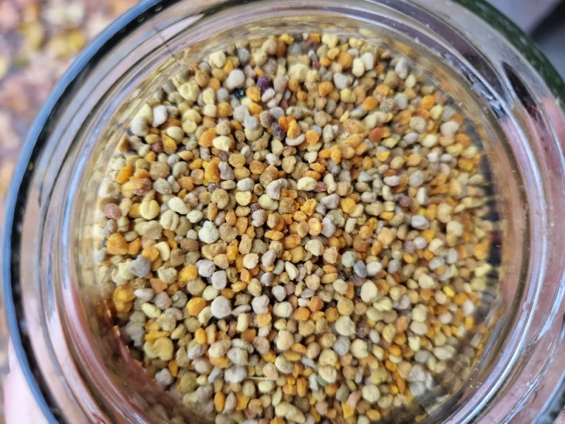 Sprzedam pyłek kwiatowy, kolorowy, prawdziwy z własnej pasieki.