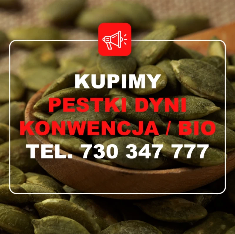 KUPIĘ PESTKĘ DYNI KONWENCJONALNĄ ORAZ BIO