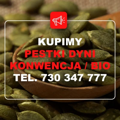 KUPIĘ PESTKĘ DYNI KONWENCJONALNĄ ORAZ BIO