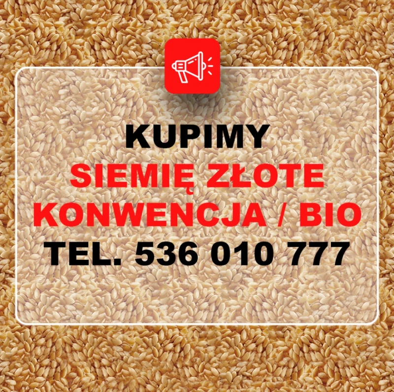 Kupię len złoty konwencja i ekologia