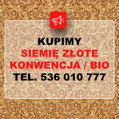 Kupię len złoty konwencja i ekologia