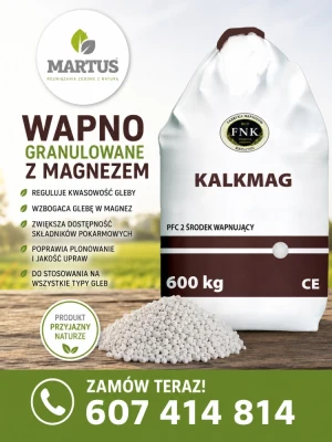 Wapno granulowane z magnezem KalkMag