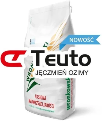 Jęczmień ozimy TEUTO  800tys. nasion