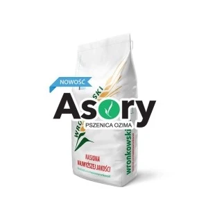 Pszenica ozima ASORY