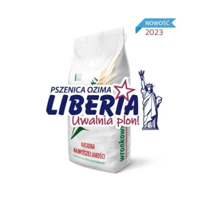 Pszenica ozima LIBERIA