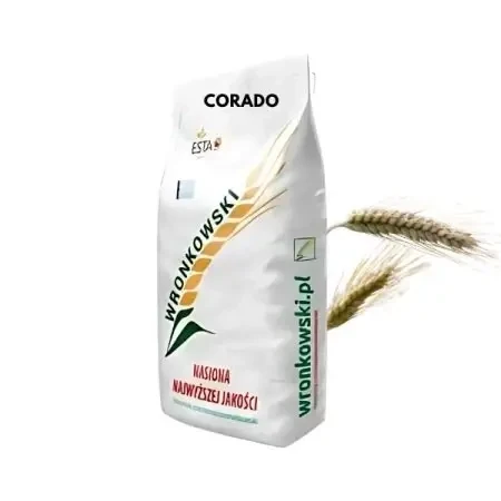 Pszenżyto ozime CORADO