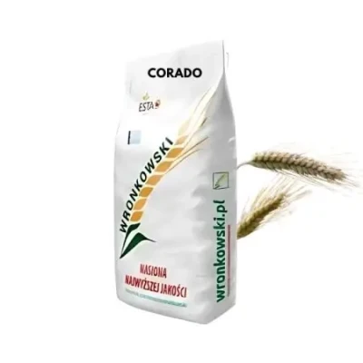 Pszenżyto ozime CORADO