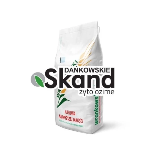 Żyto ozime DAŃKOWSKIE SKAND