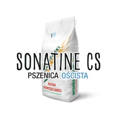 Pszenica ozima SONATINE CS OŚCISTA NOWOŚĆ