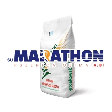 Pszenica SU MARATHON NOWOŚĆ