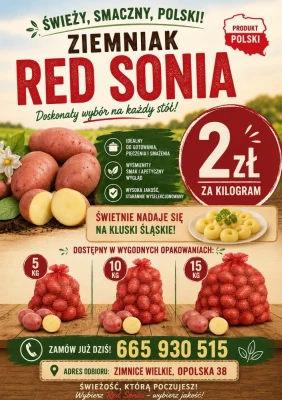 Ziemniak RED SONIA