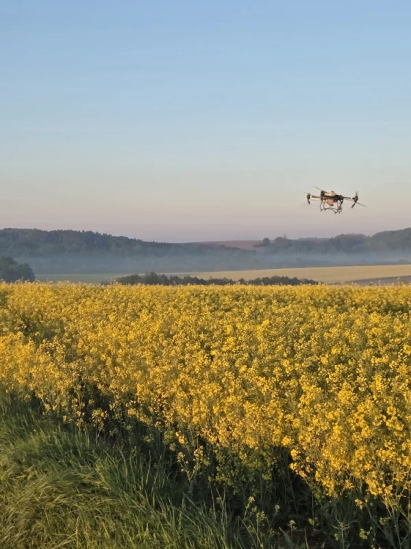 Usługami Dronami