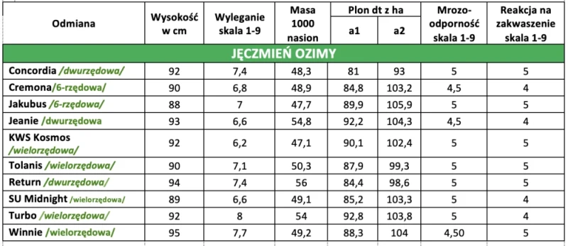 JĘCZMIEŃ OZIMY