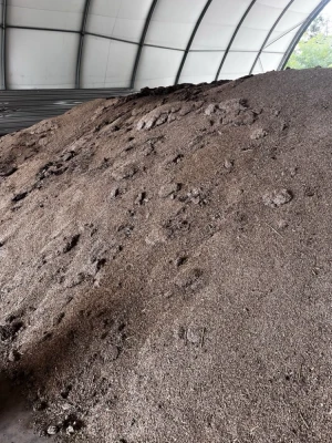 Sprzedam zboże niepełnowartościowe żyto na pellet, do gorzelni, biogazowni.