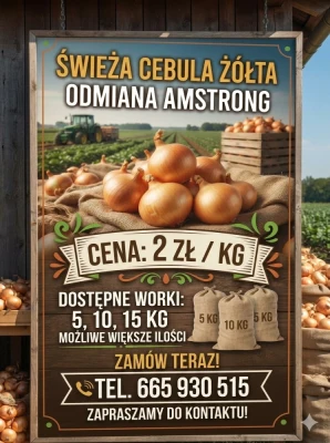 Cebula żółta