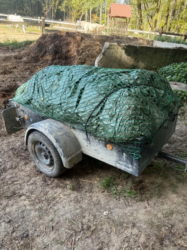 obornik koński pierwszej klasy