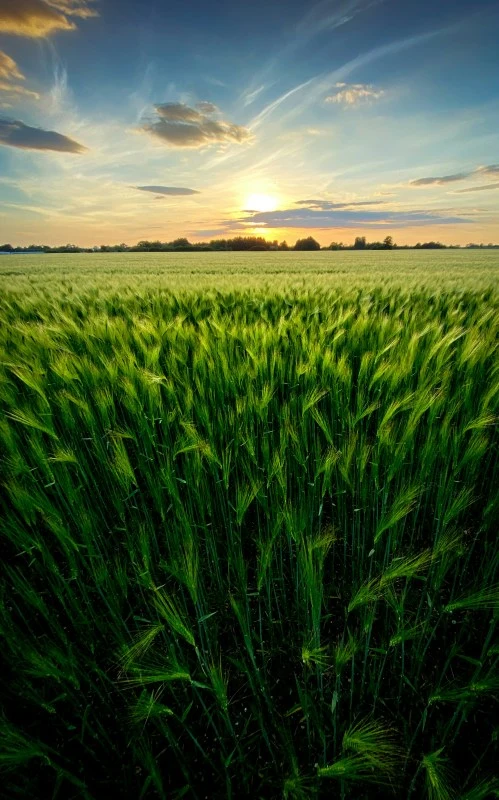 Bezpieczne magazynowanie nawozów