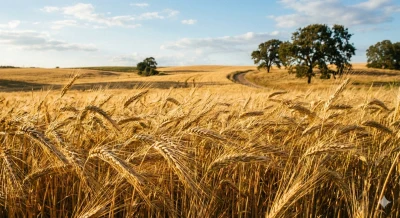 Bezpieczne magazynowanie nawozów