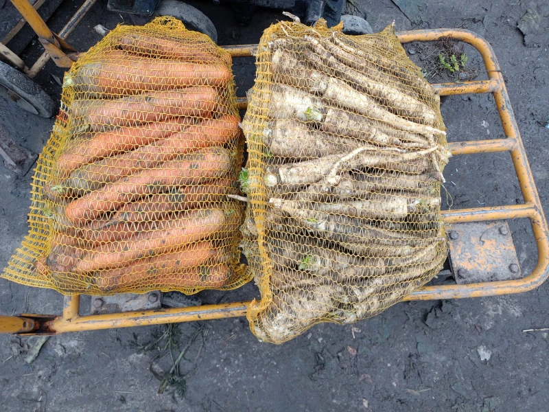 Agnieszka Michałowska