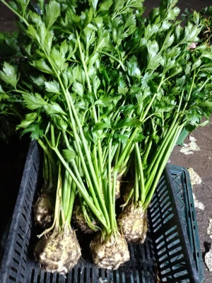 Agnieszka Michałowska