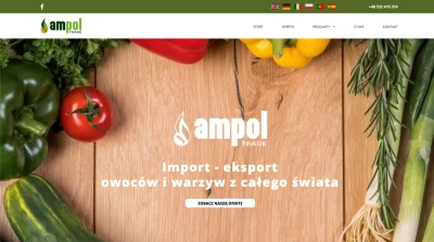 AMPOL TRADE SP. Z O.O. SP. K.