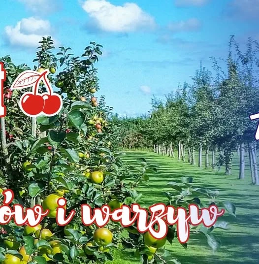 Jamart - Skup Owoców Warzyw i Zboża