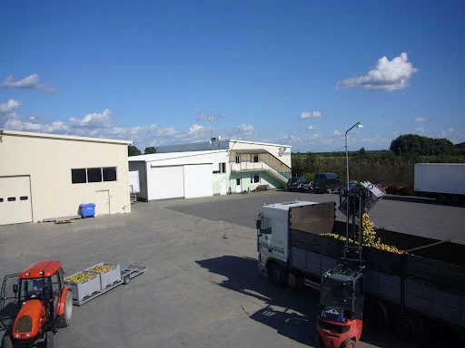 Polimex Majewscy Sp. Jawna