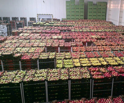 Eco Fruits sp. z o.o.