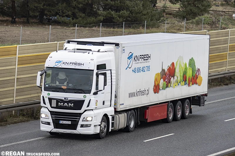 KN FRESH Marcin Pryczek