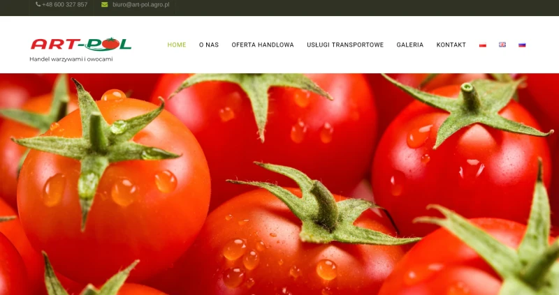 ART-POL Artur Jasiński