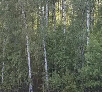 642_{tpl}_7a2cf8e3f1.webp
