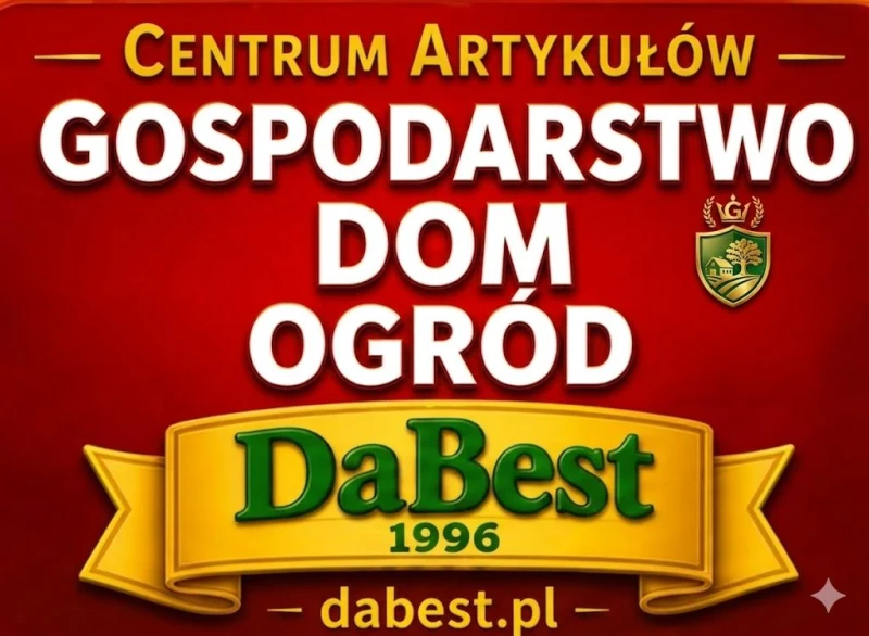 679_{tpl}_7d1ec09ae1.webp