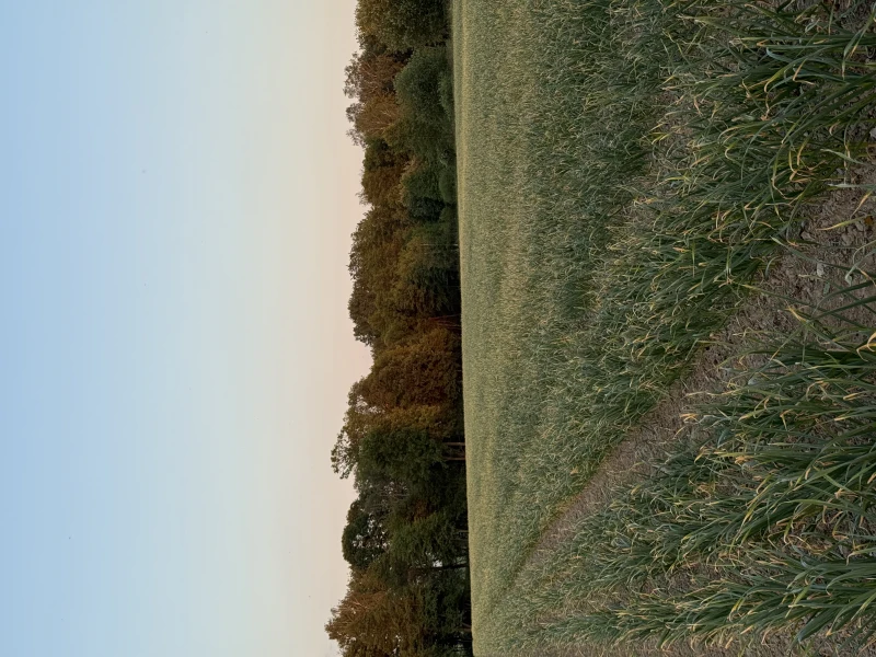 800_{tpl}_5d67b1c9a8.webp