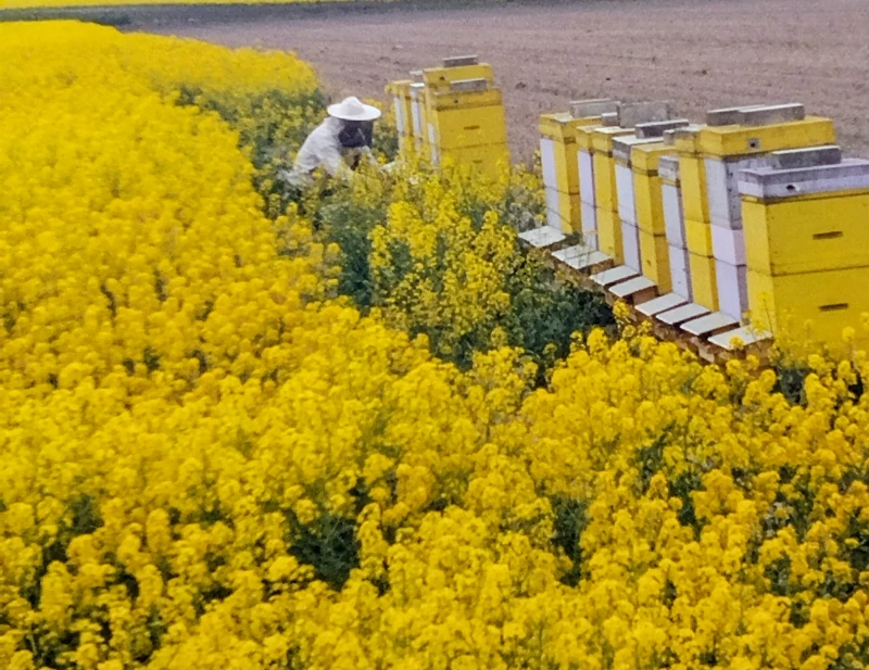 809_{tpl}_99a836d5d7.webp