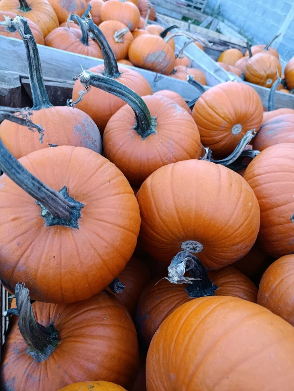 896_{tpl}_2ab7ba9775.webp